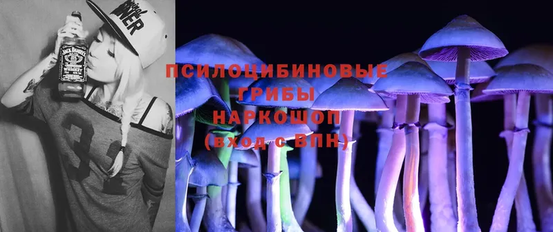 мега ССЫЛКА  Лысьва  Галлюциногенные грибы Magic Shrooms 